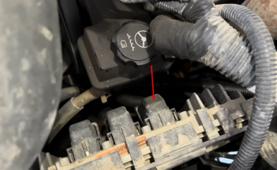 1769087362536.png 1769087362536.png