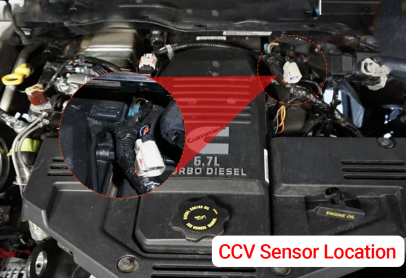 1769263071450.png 1769263071450.png